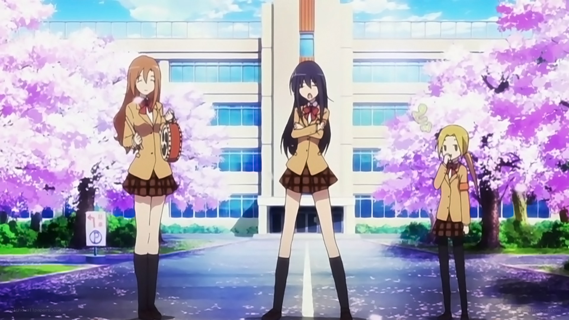 schoolgirls under cherry blossoms