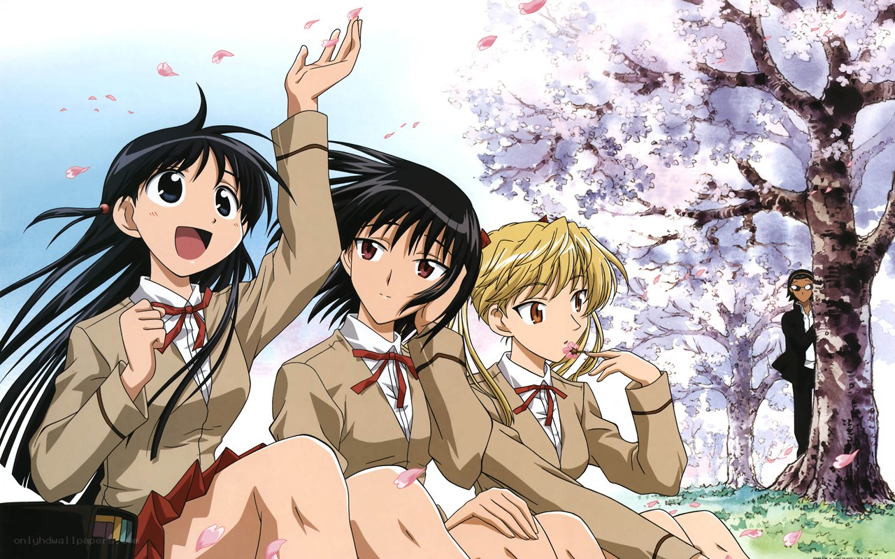 Schoolgirls under cherry blossoms
