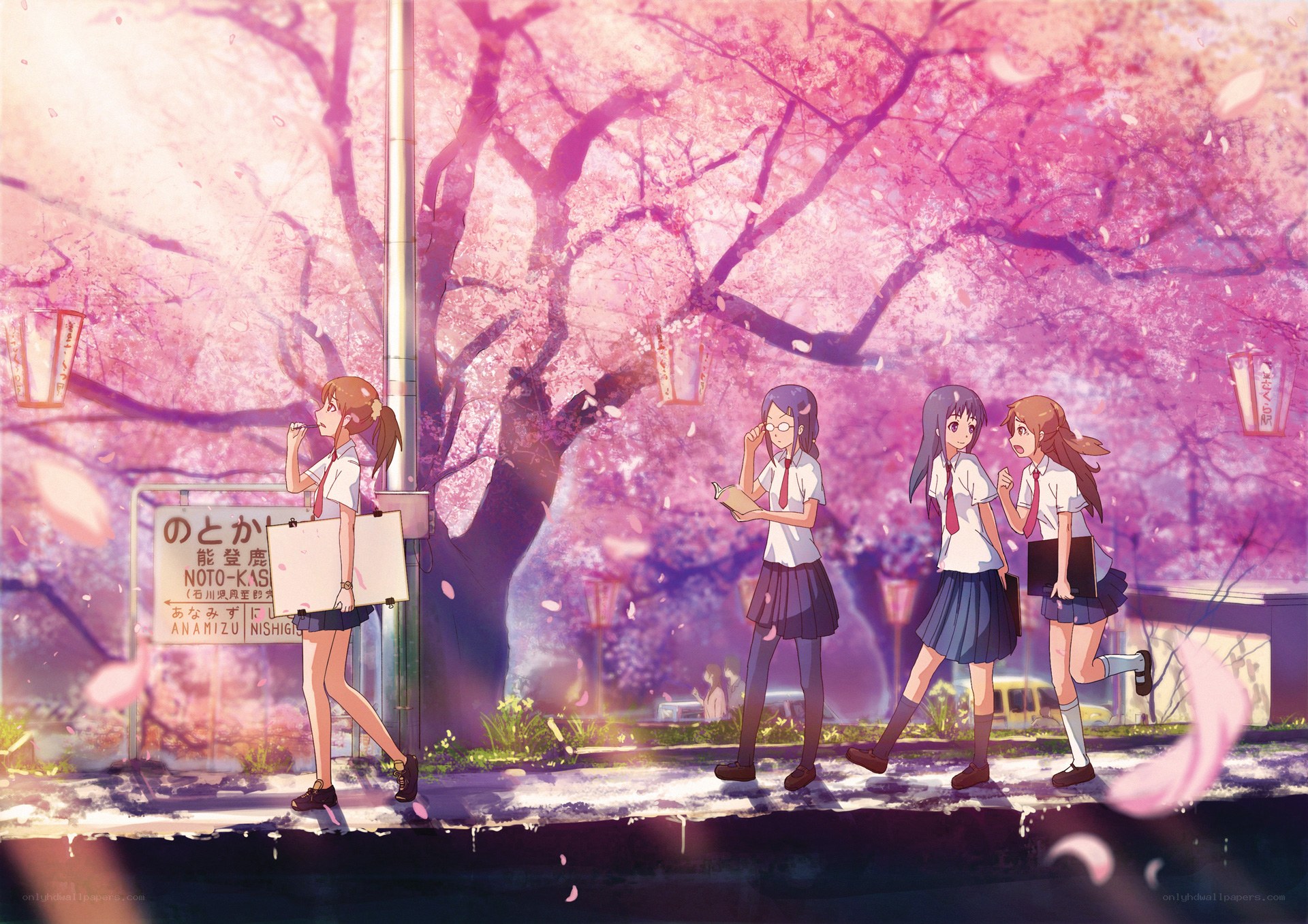 Schoolgirls under cherry blossoms