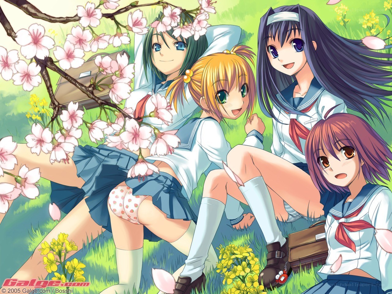 Schoolgirls under cherry blossoms