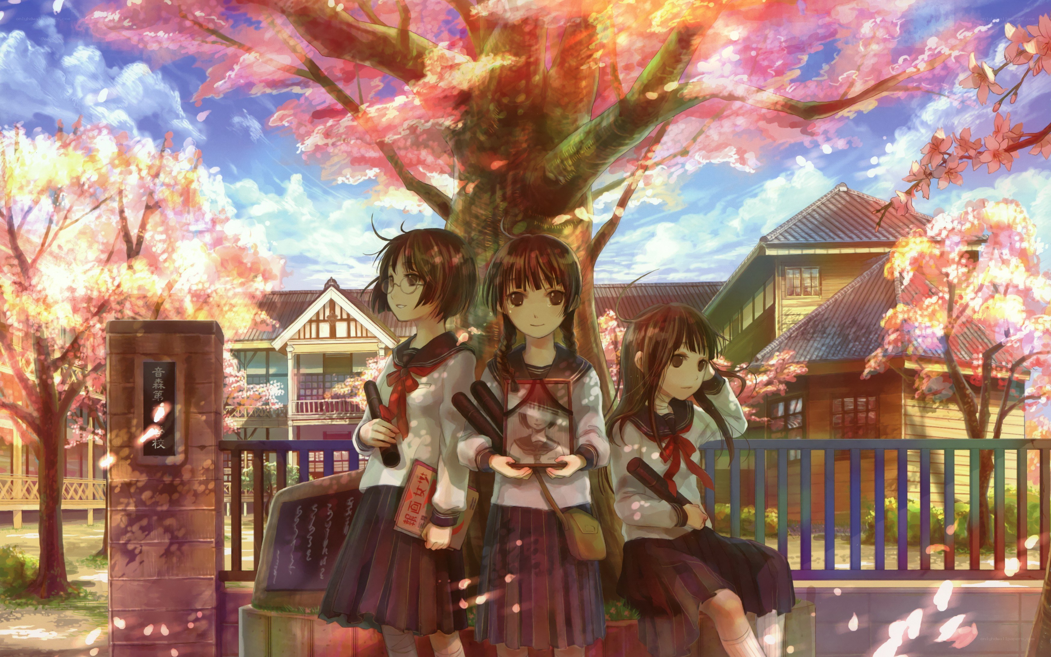 Schoolgirls under cherry blossoms