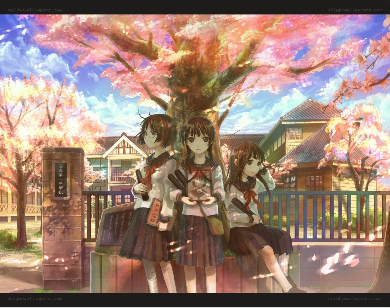 Schoolgirls under cherry blossoms