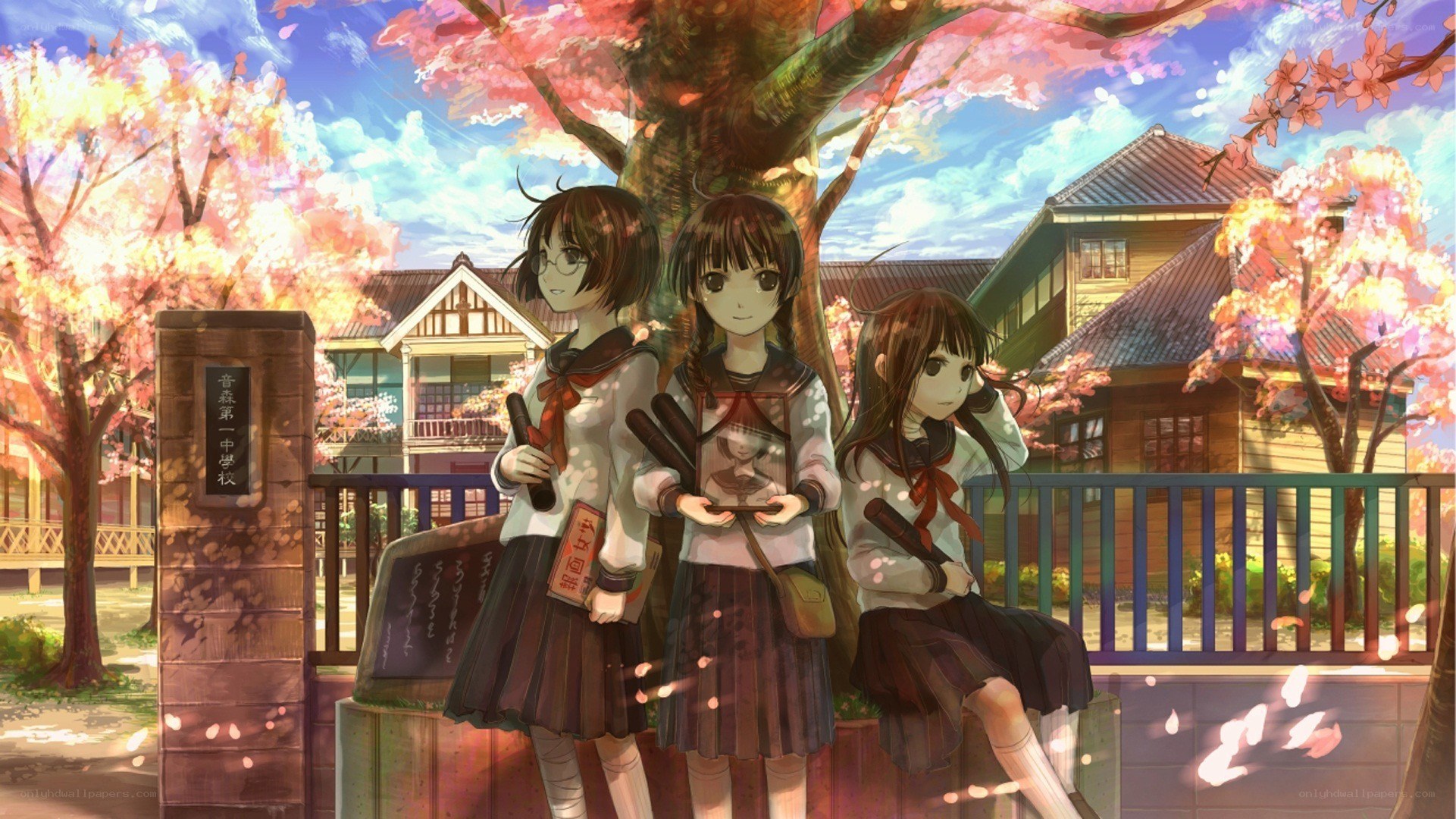 Schoolgirls under cherry blossoms