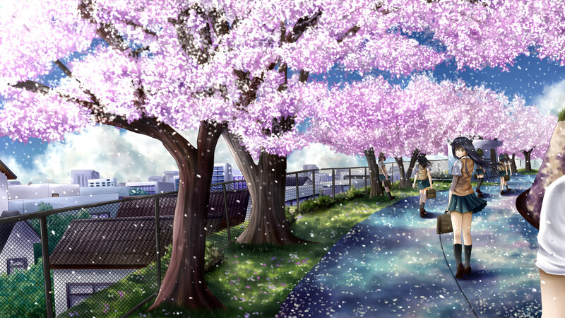 Schoolgirls under Cherry Blossoms — Pink, Serene, Spring