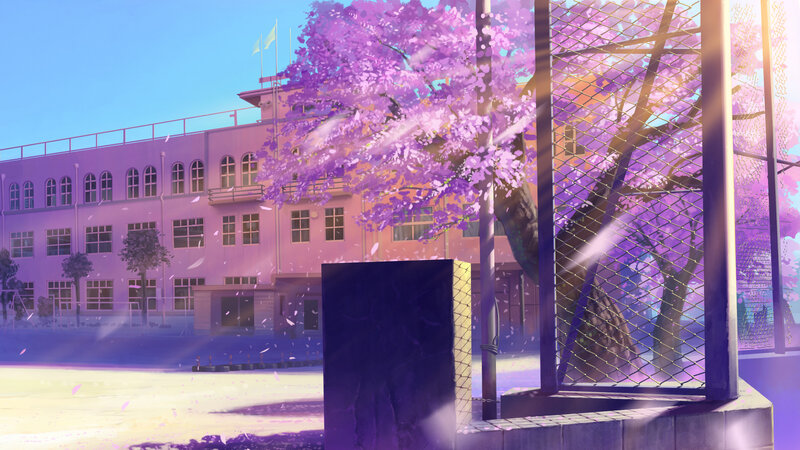 Schoolyard with cherry blossoms