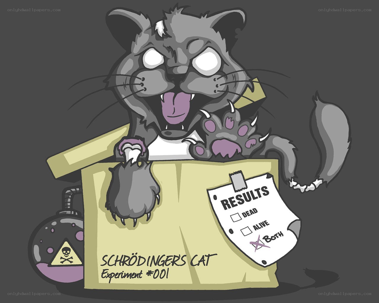 Schrödinger's Cat Experiment