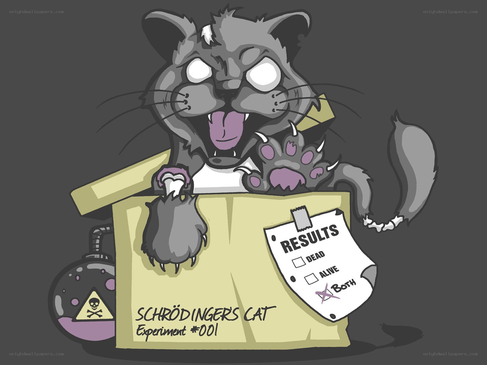 Schrödinger's Cat Experiment