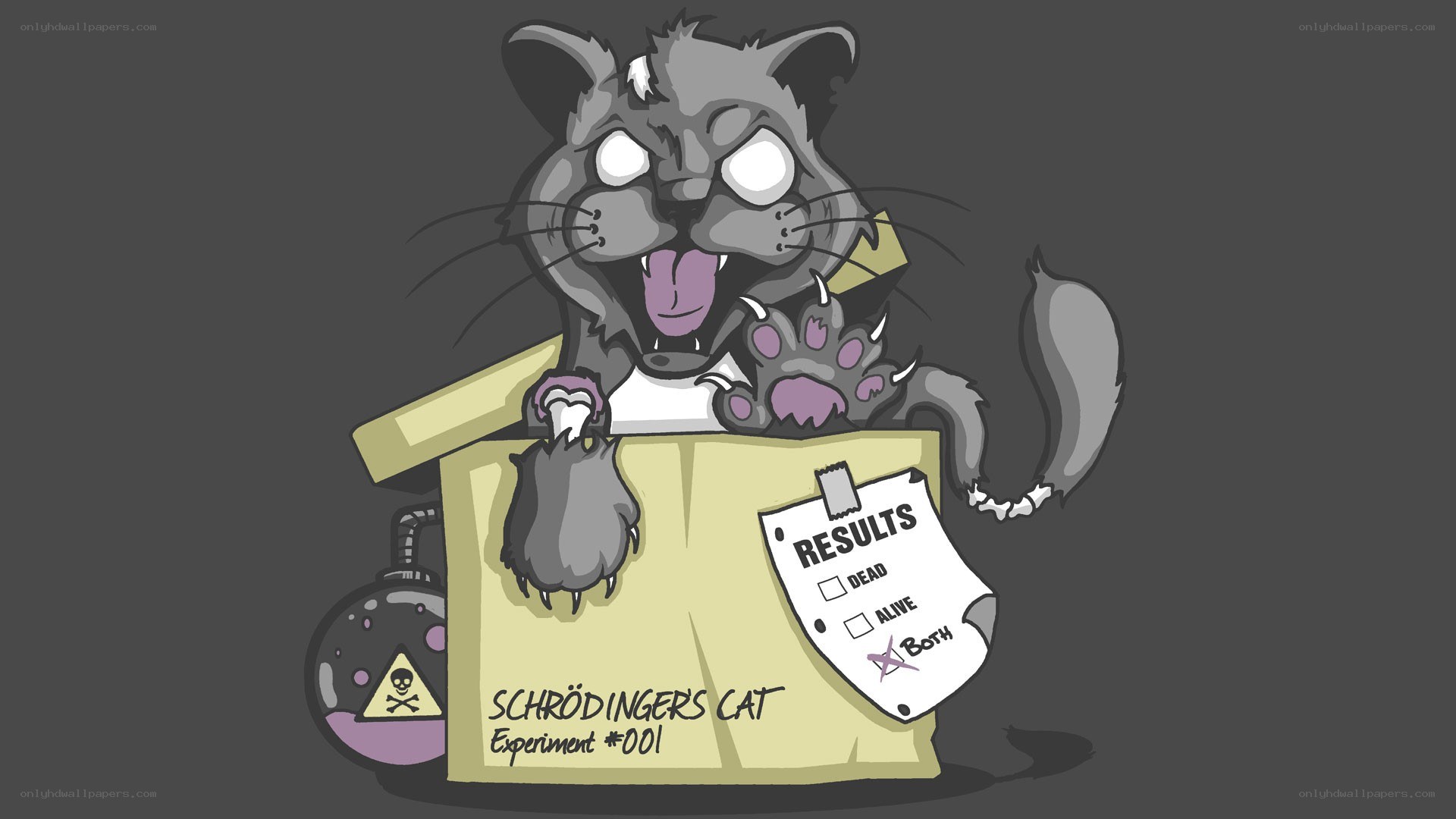 Schrödinger's cat experiment