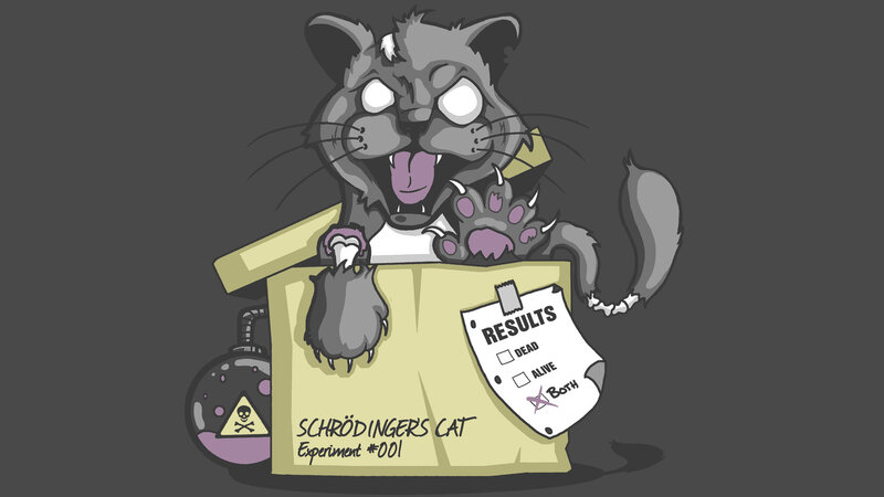 Schrödinger's Cat Experiment — Gray
