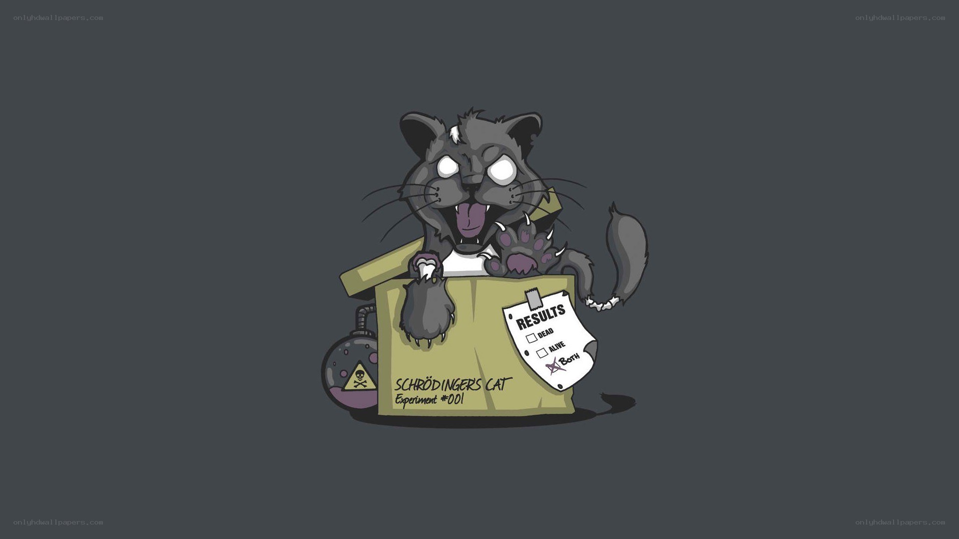 Schrödinger's Cat Experiment