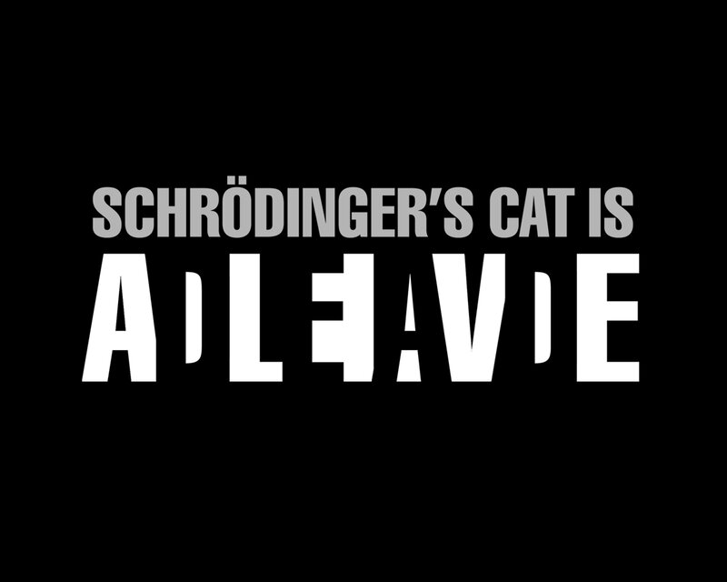 Schrödinger's cat is alive