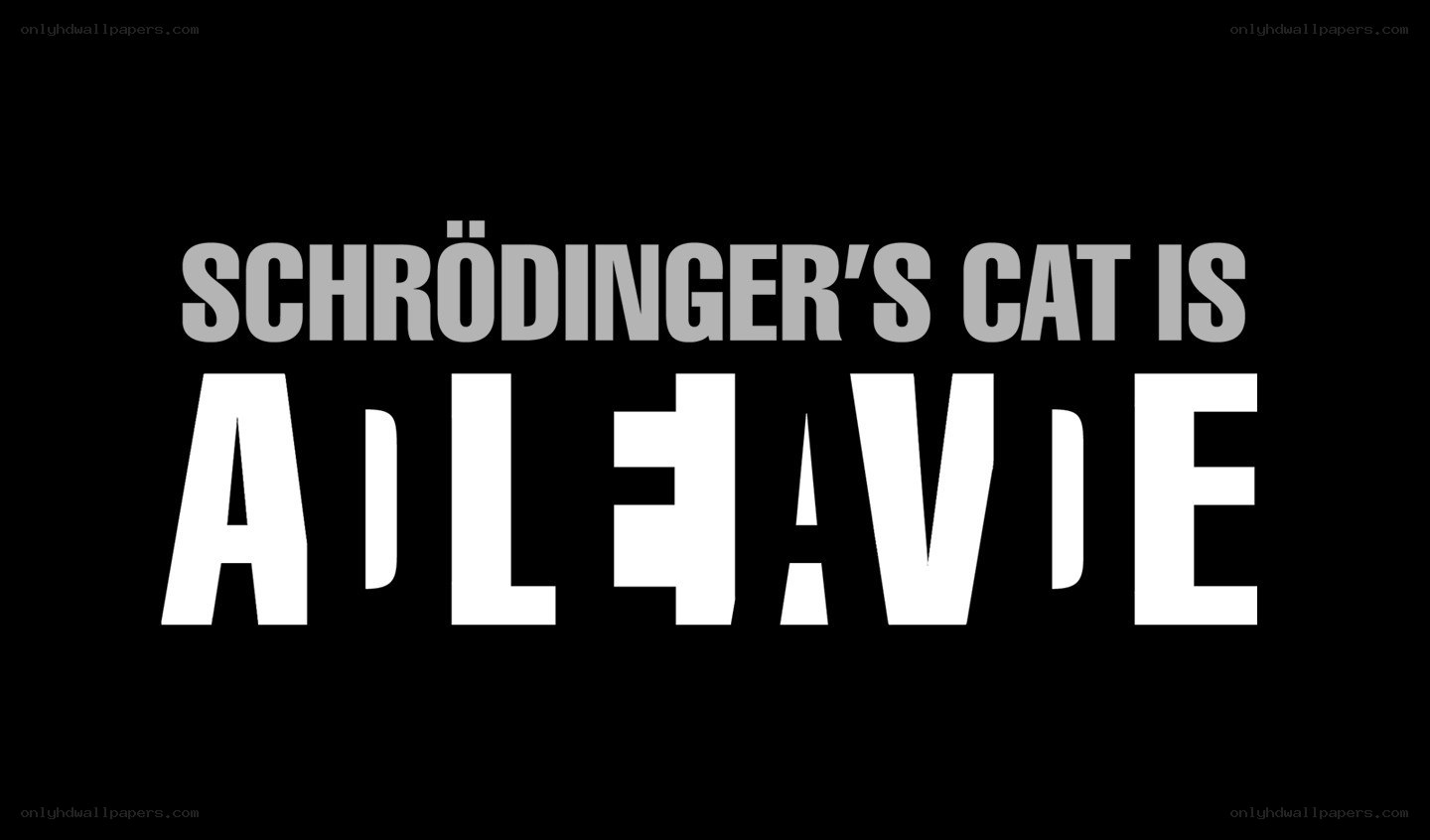 Schrödinger's cat is alive