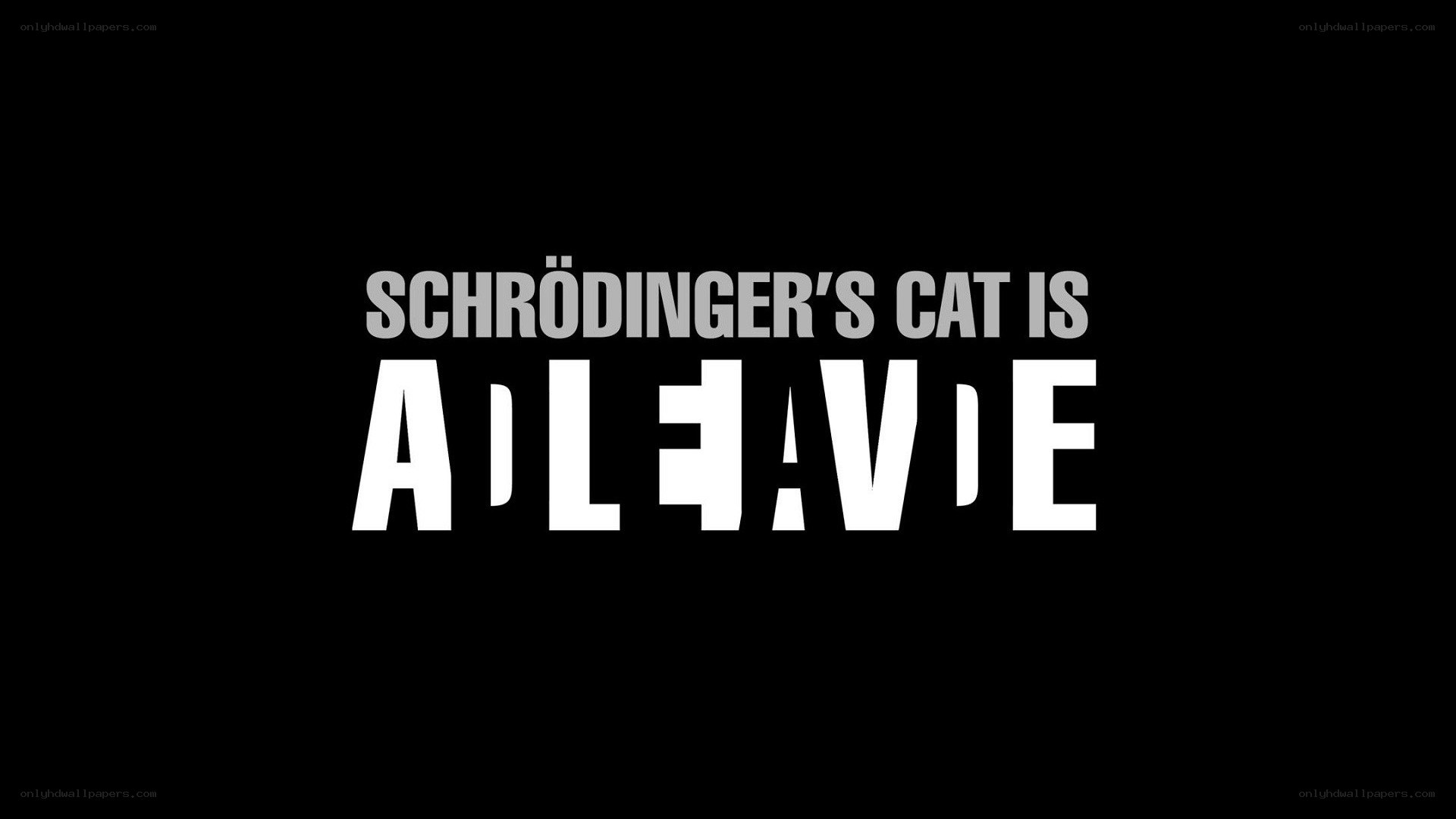 Schrödinger's cat is alive