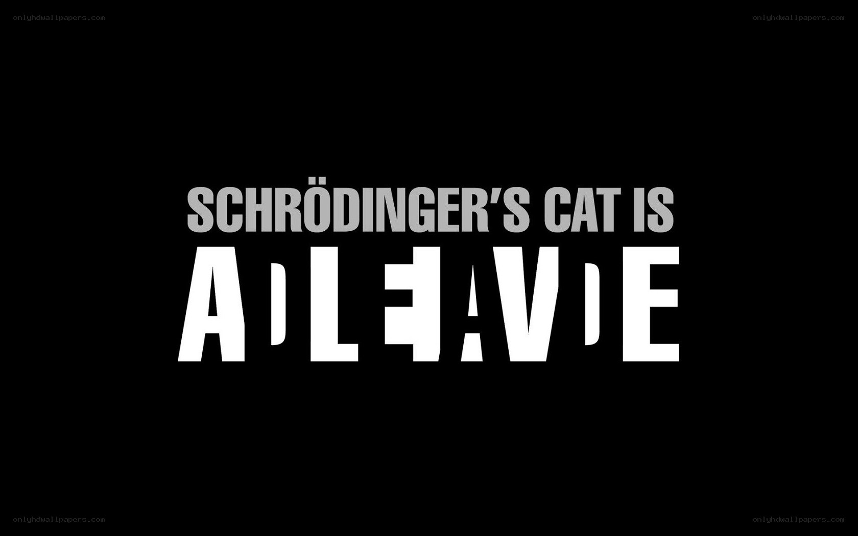 Schrödinger's cat is alive
