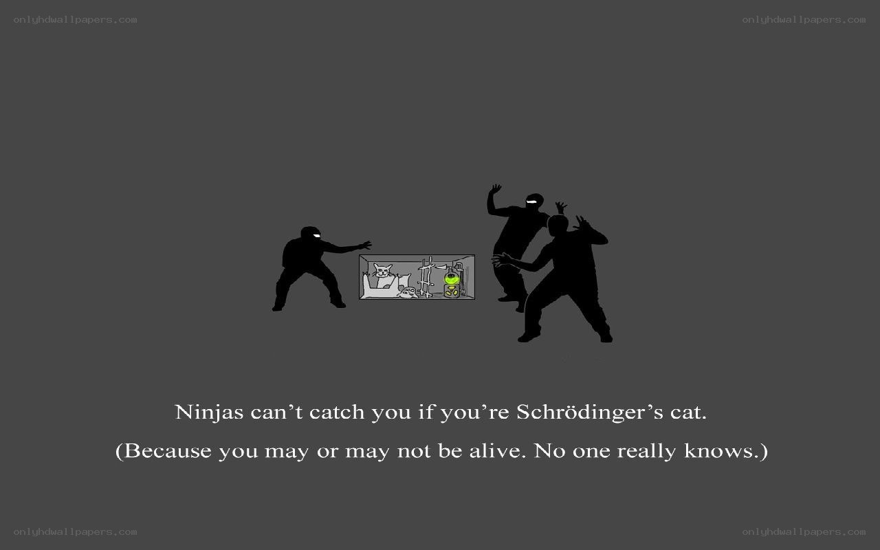Schrödinger's cat meme
