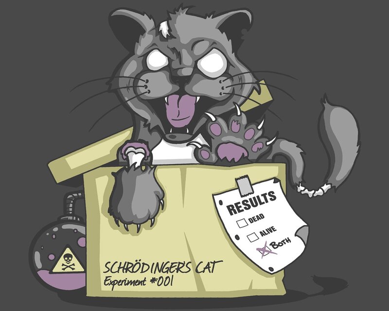 Schrödinger's Cat