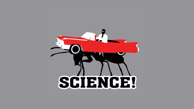 science car ant