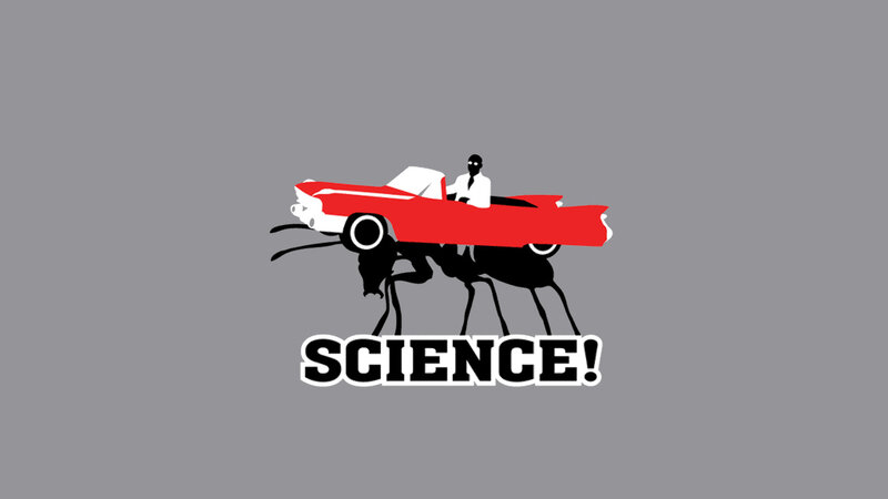 science car ant