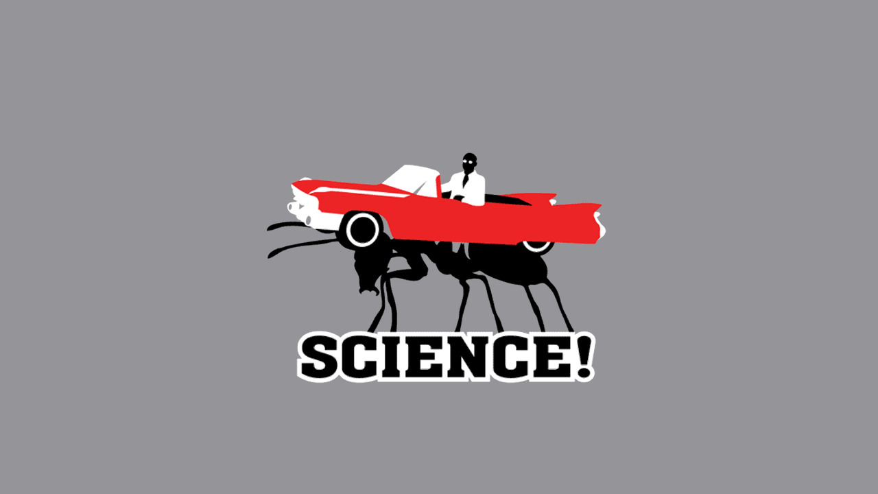 science car ant