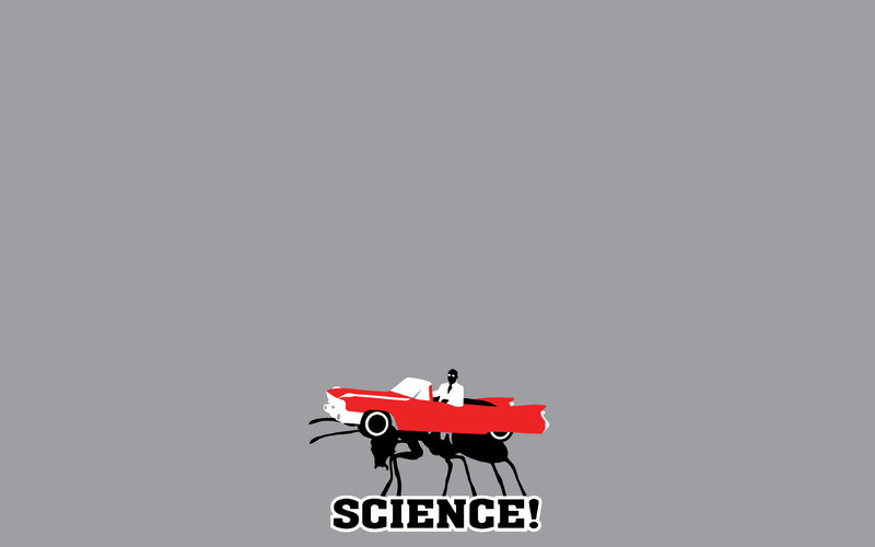 science car ant