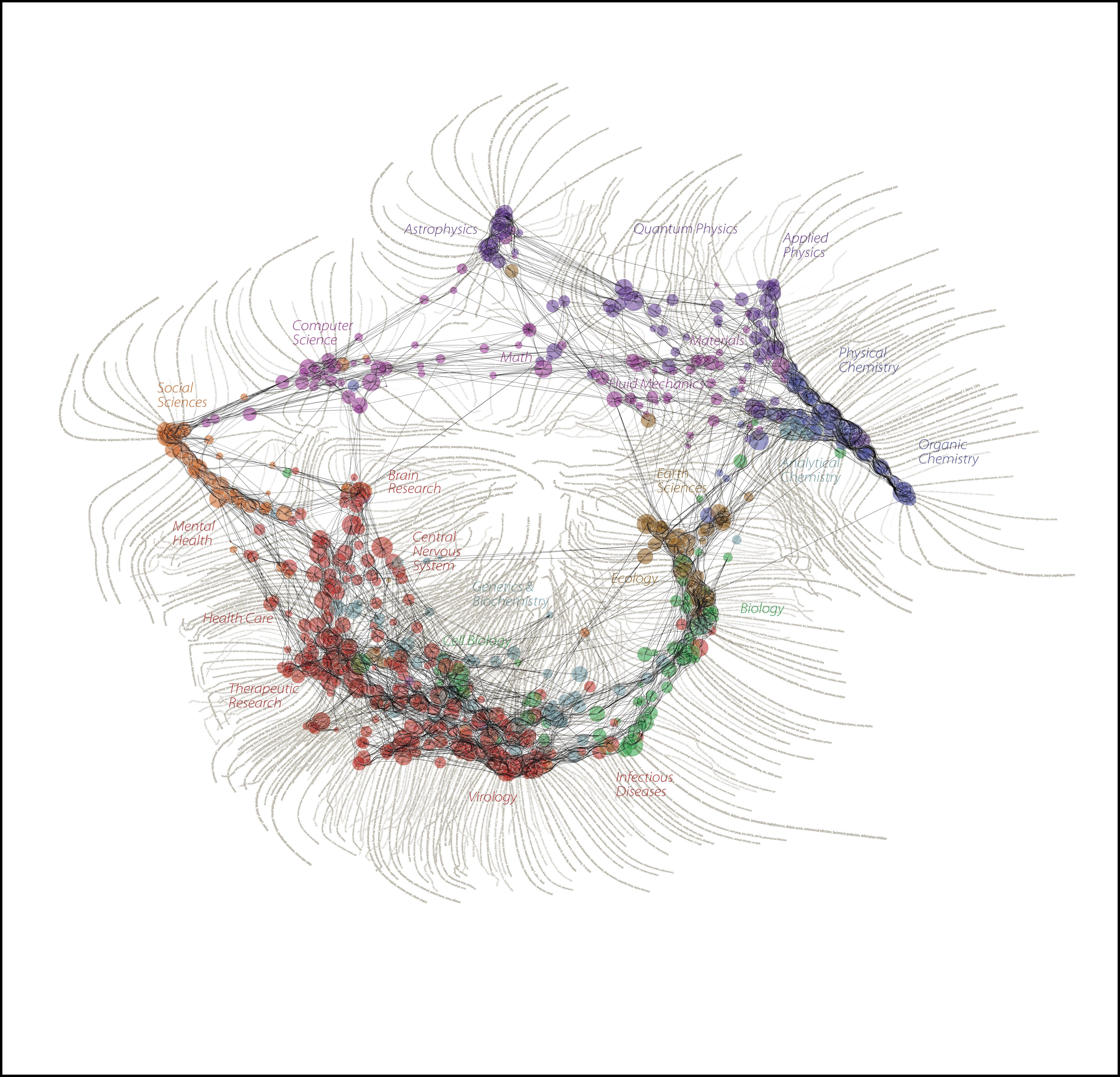 Scientific Field Network Diagram