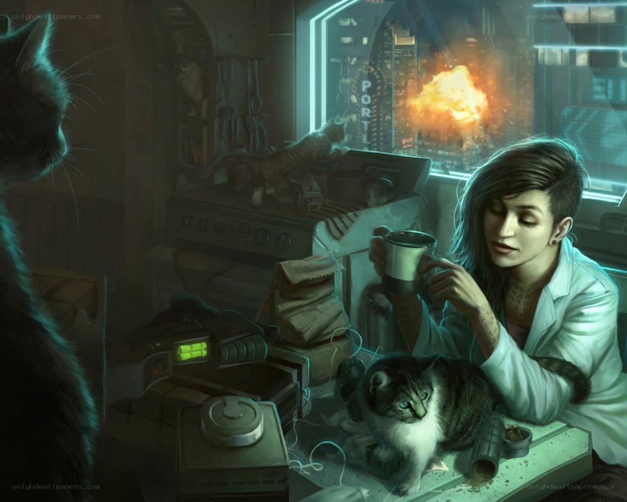 scientist in a lab with cats