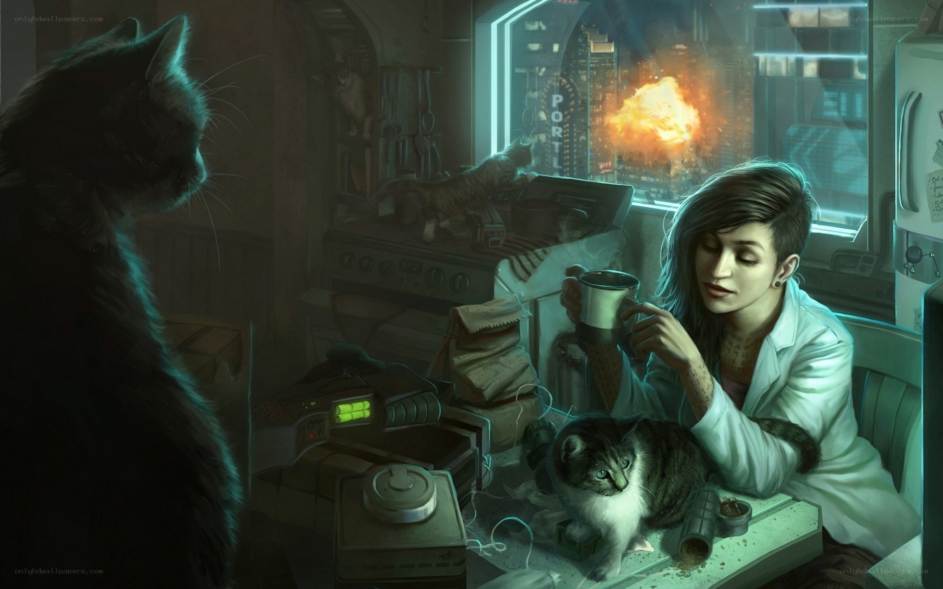 scientist in a lab with cats