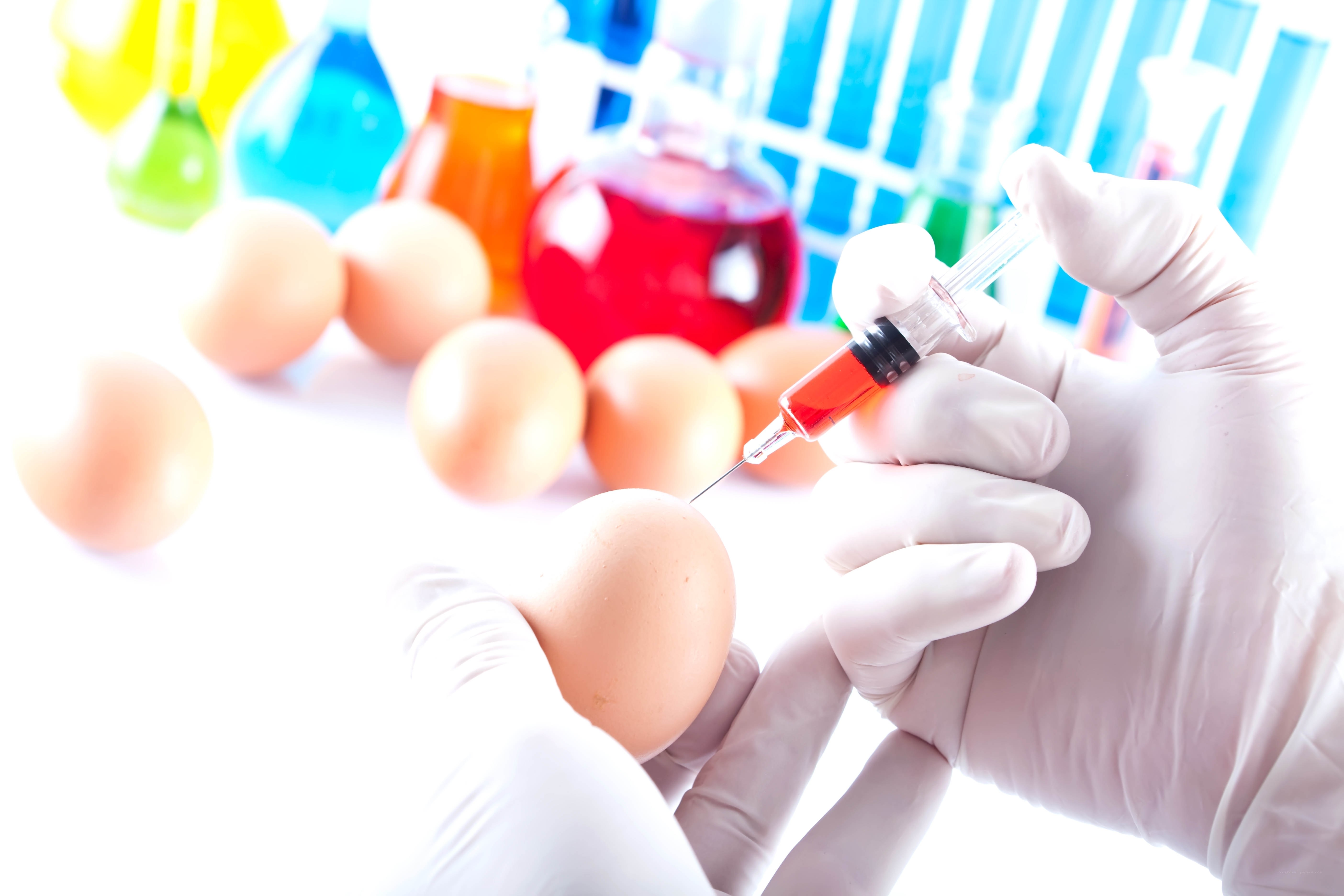 Scientist injecting egg in lab