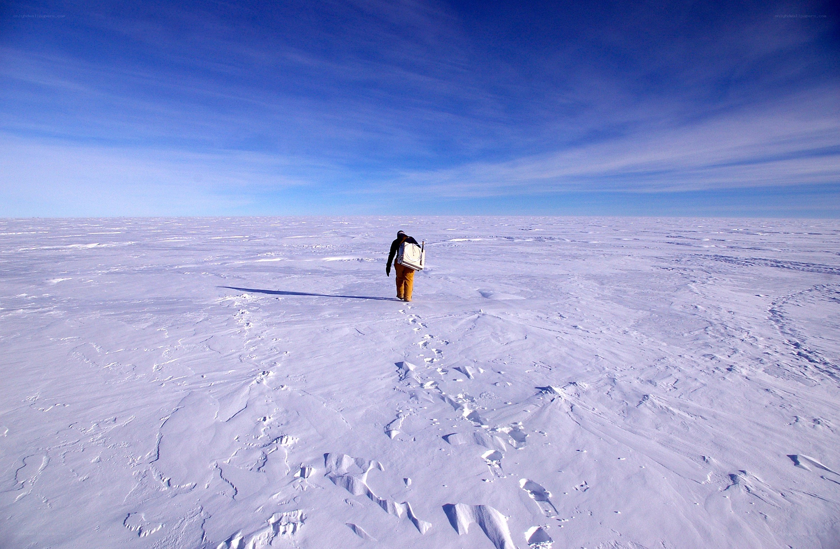 Scientist walking in snowy landscape