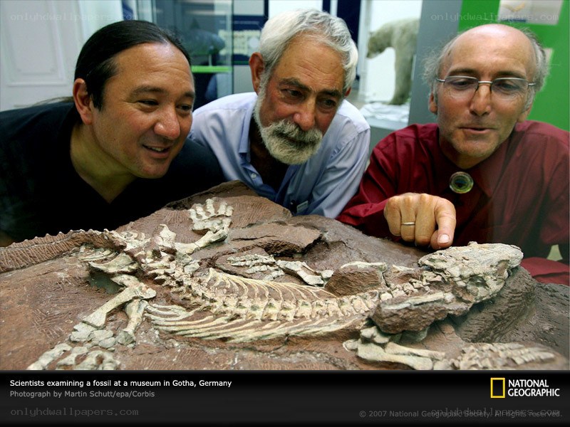 Scientists examine fossil in Germany