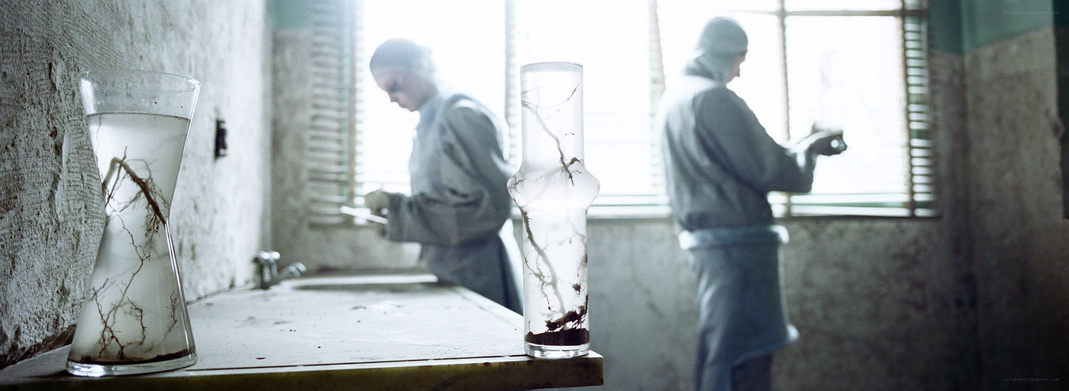 Scientists in a laboratory