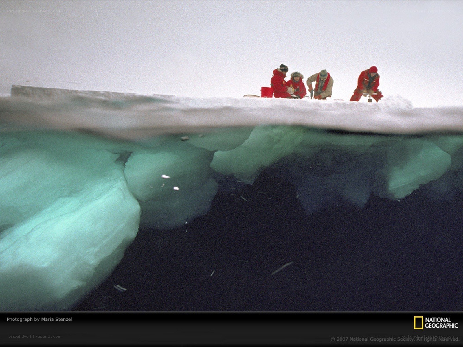 Scientists on an ice floe