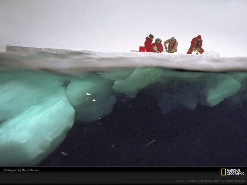 Scientists on Ice Floe