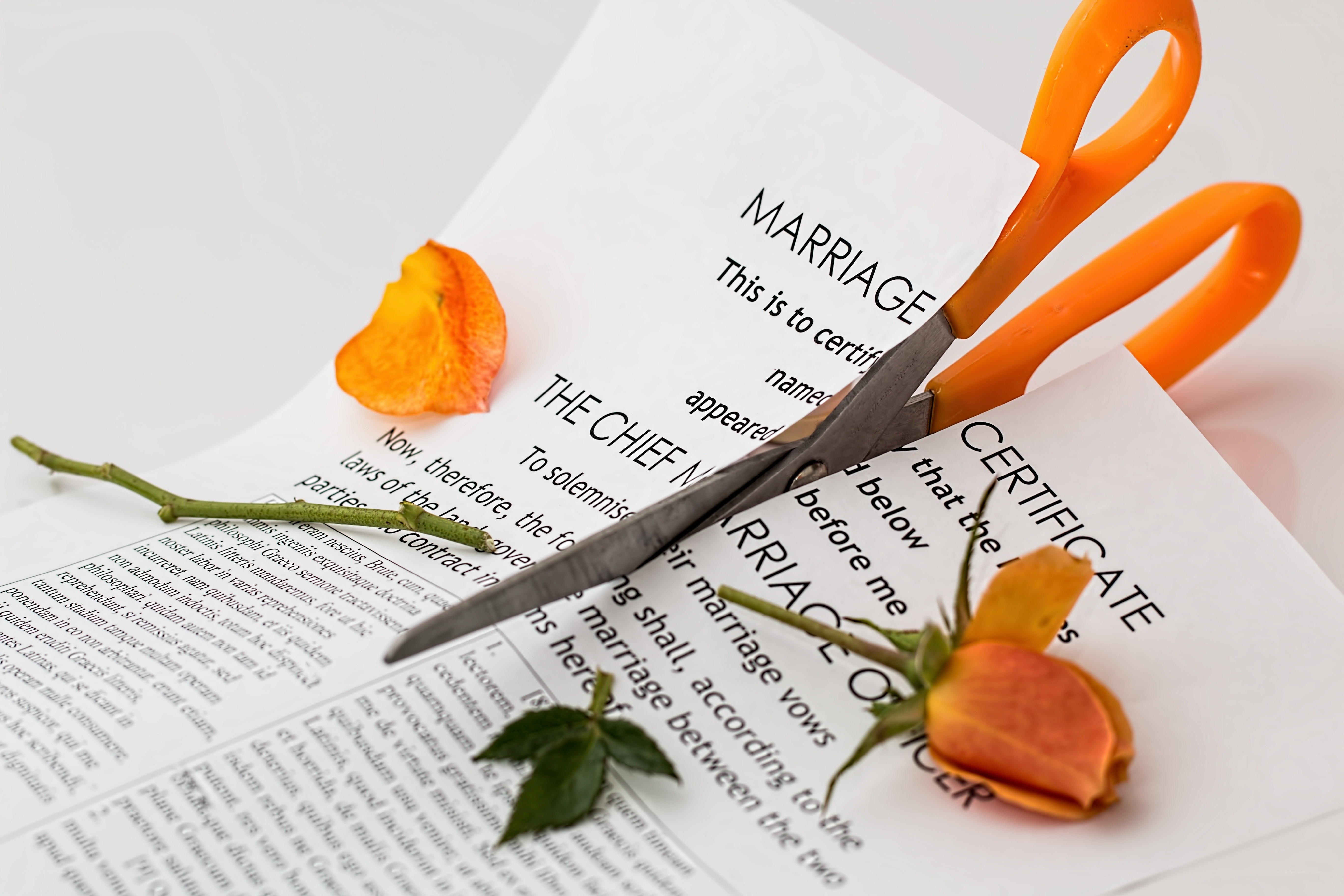 scissors cutting marriage certificate