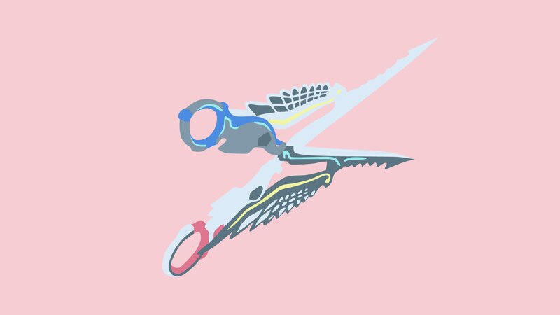 Scissors with Winged Blades