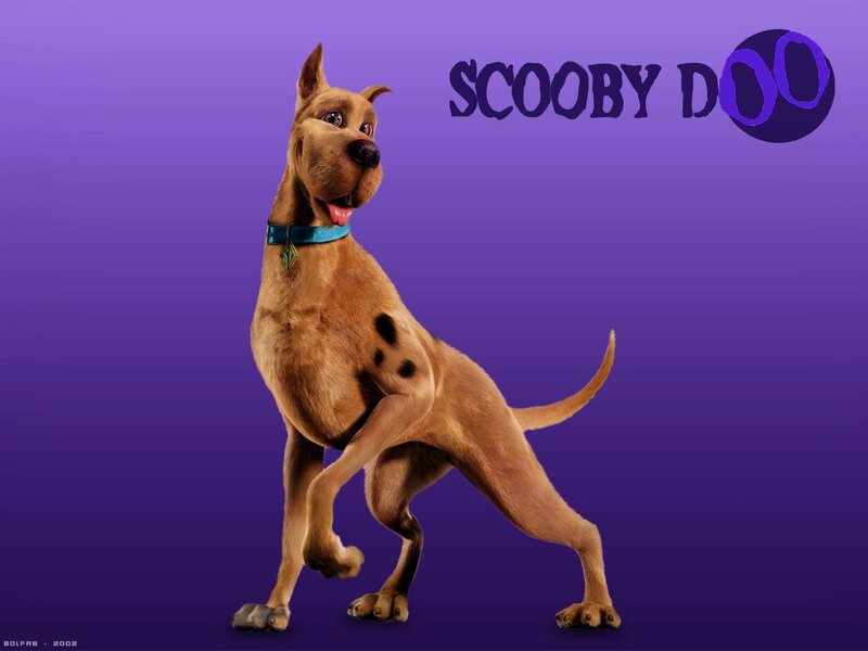 Scooby-Doo Dog