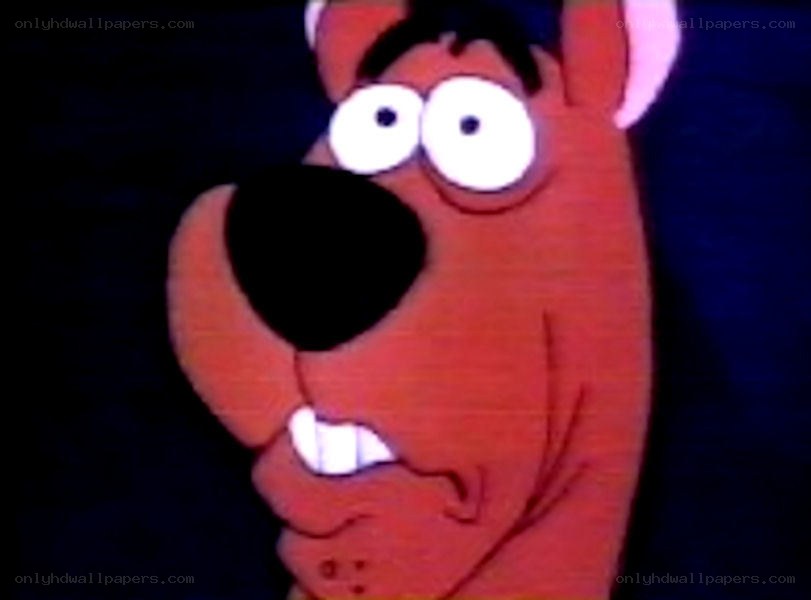 Scooby-Doo with wide eyes
