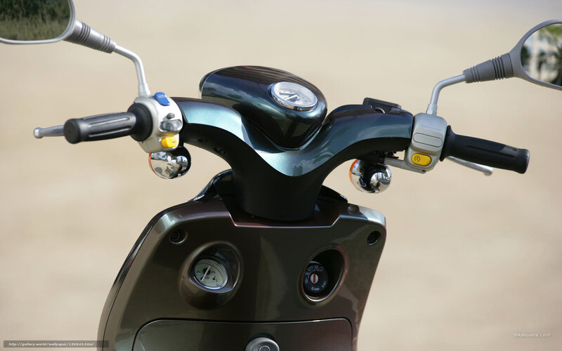 Scooter Handlebars