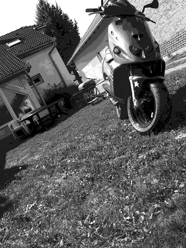 Scooter in a backyard