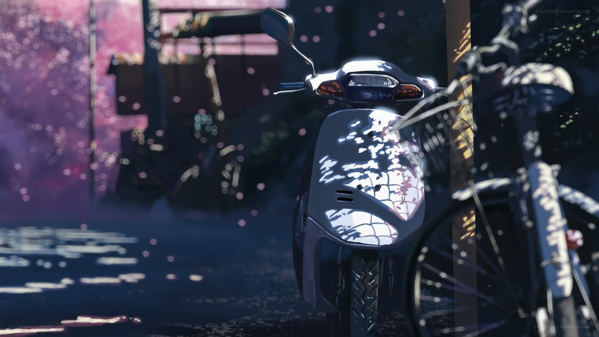 Scooter in cherry blossom street