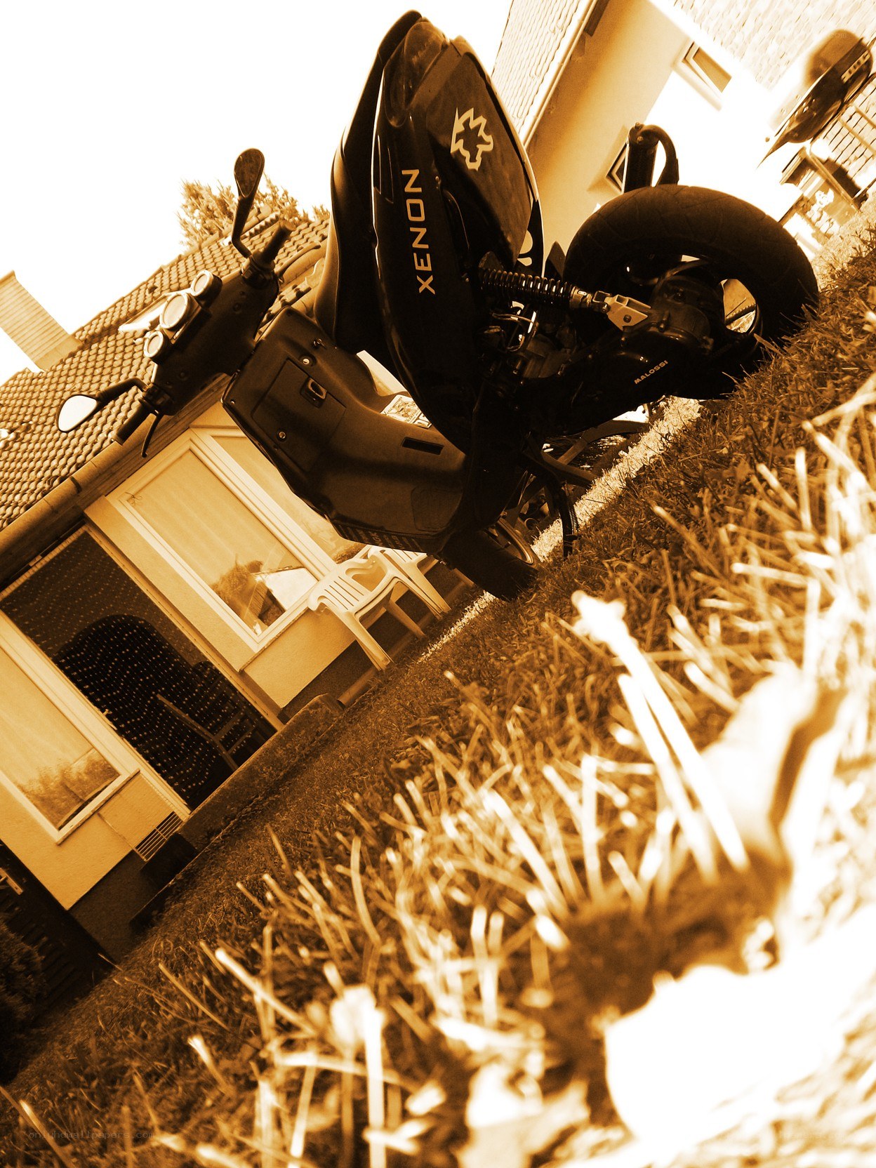 Scooter parked in garden