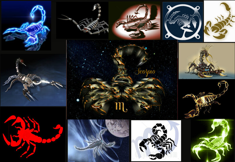 Scorpion Collage
