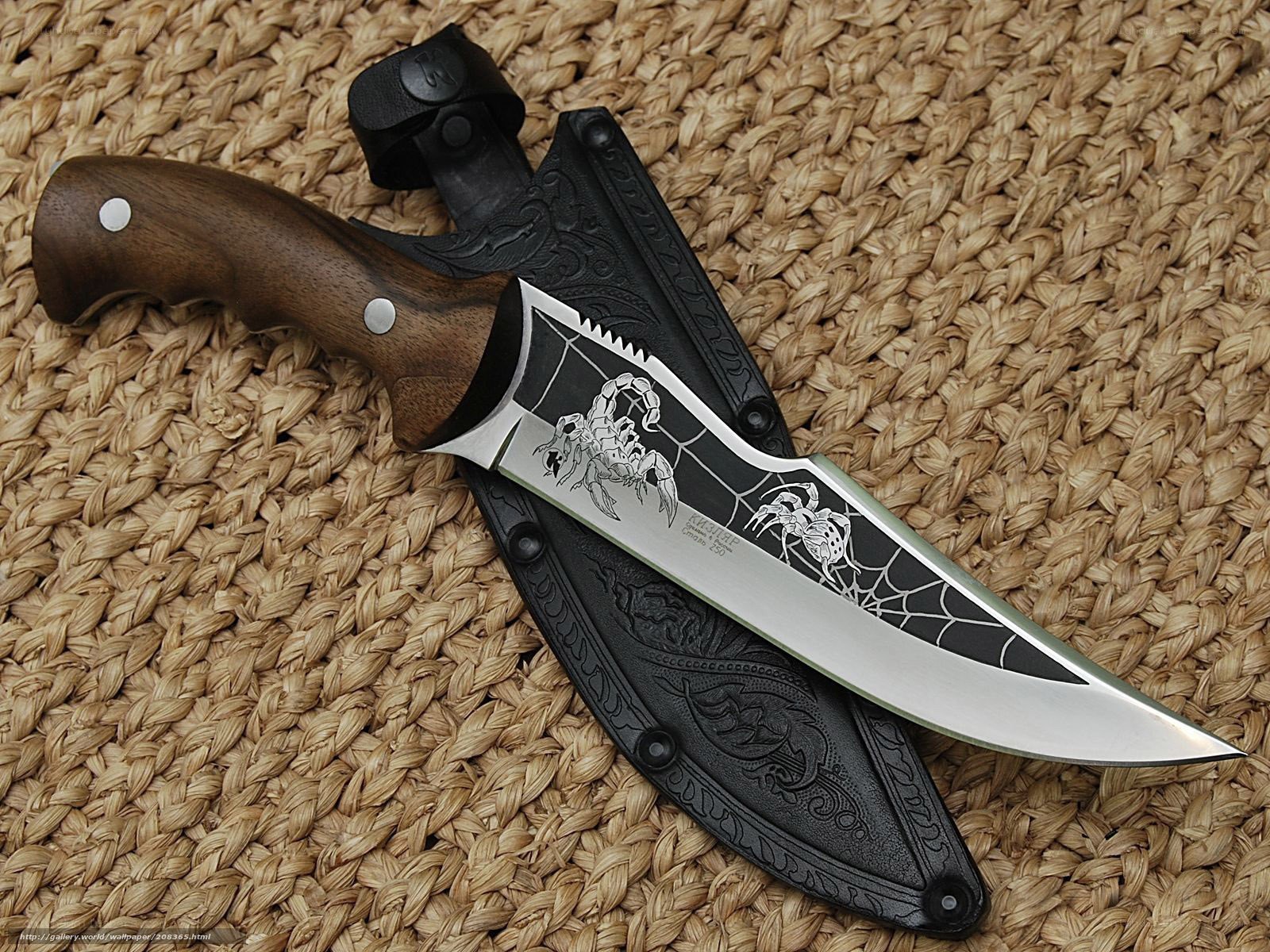 scorpion-themed knife with sheath