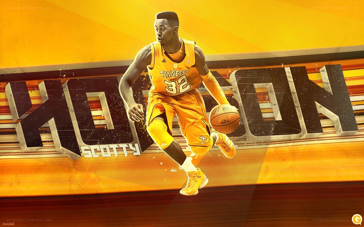 Scotty Hopson basketball player