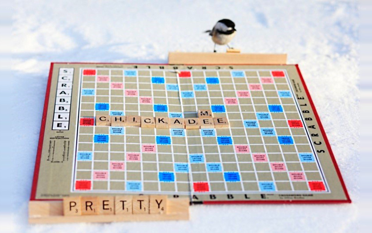 Scrabble game in the snow