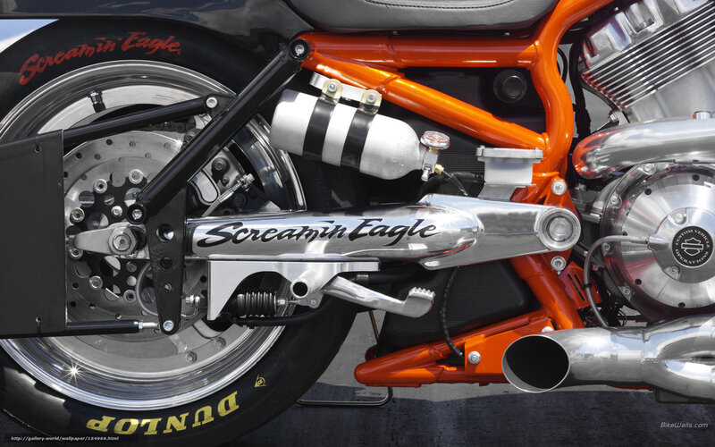 Screamin' Eagle motorcycle details