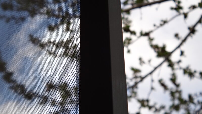 screen mesh with tree branches