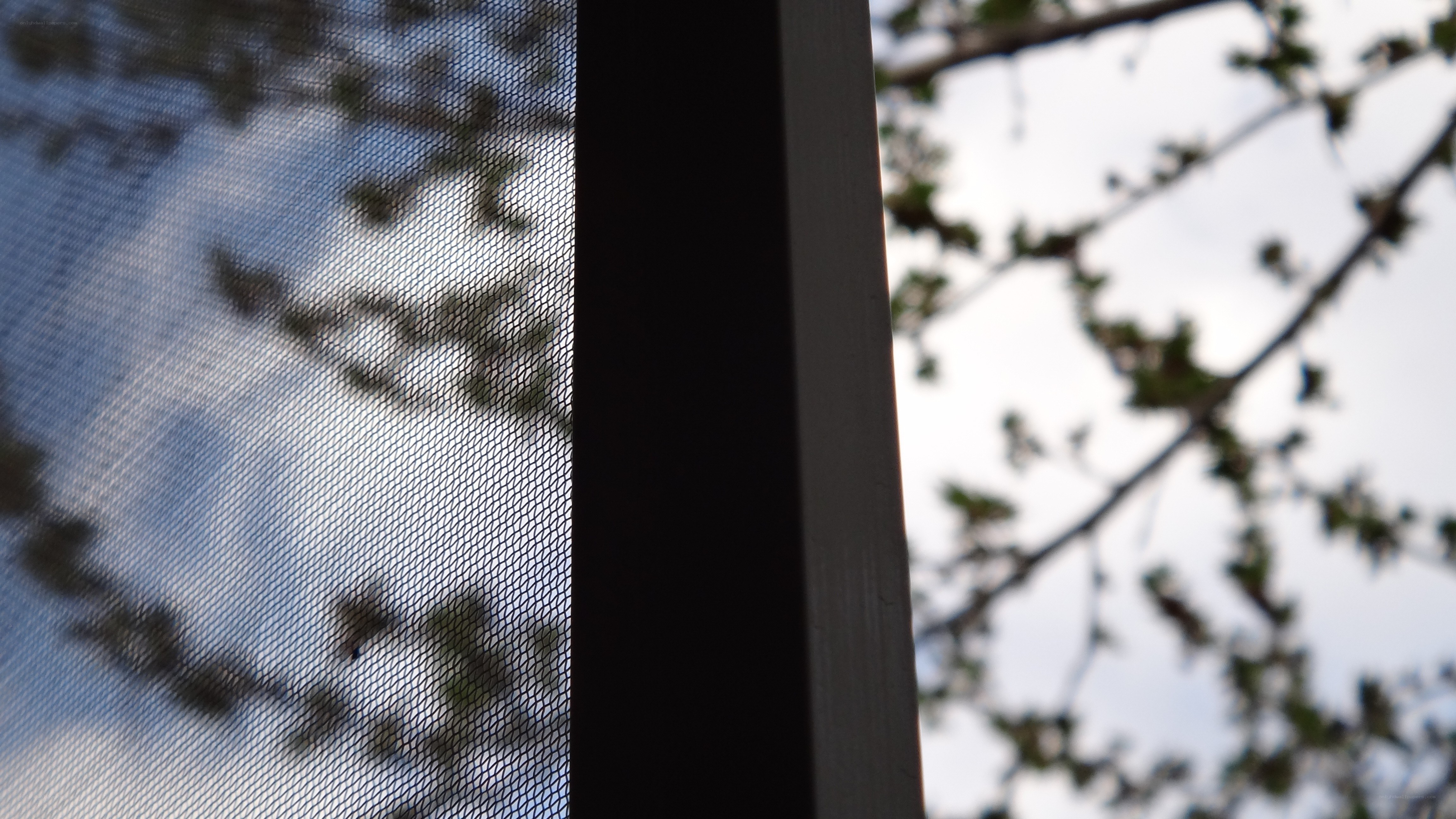 screen mesh with tree branches