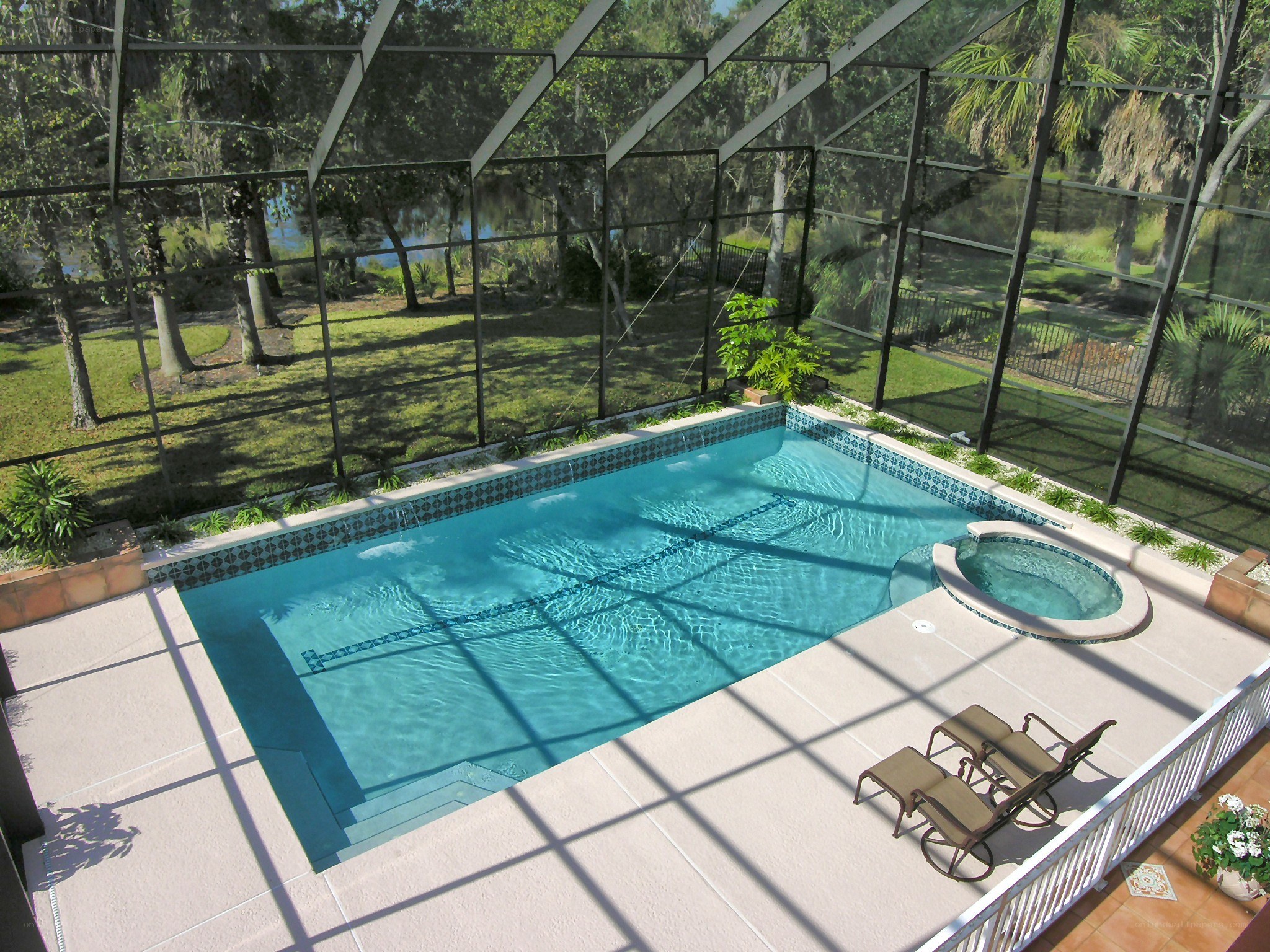 Screened pool with spa view