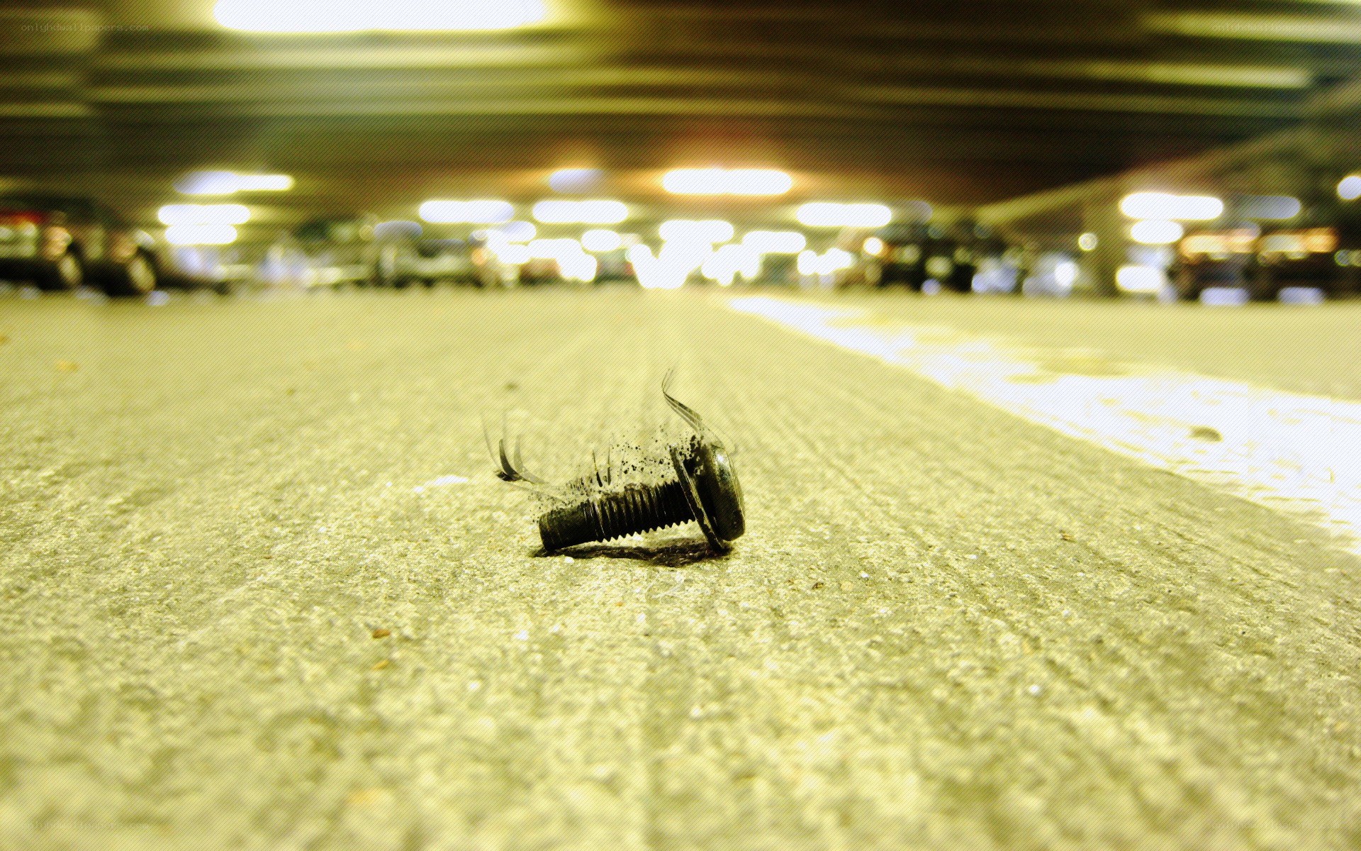 Screw on concrete floor